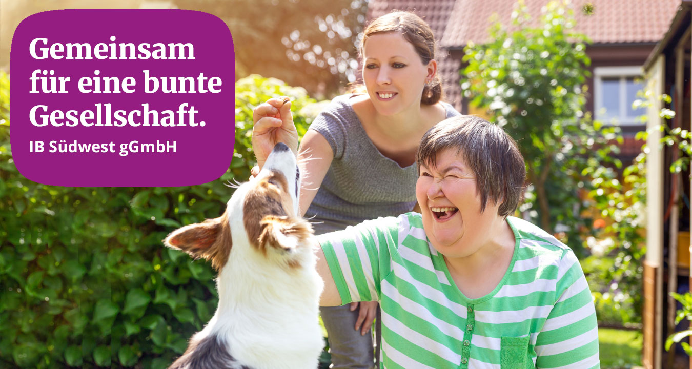 Keine Bildbeschreibung verfügbar